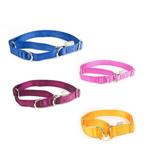 ppark i-Series Martingale Dog Collar