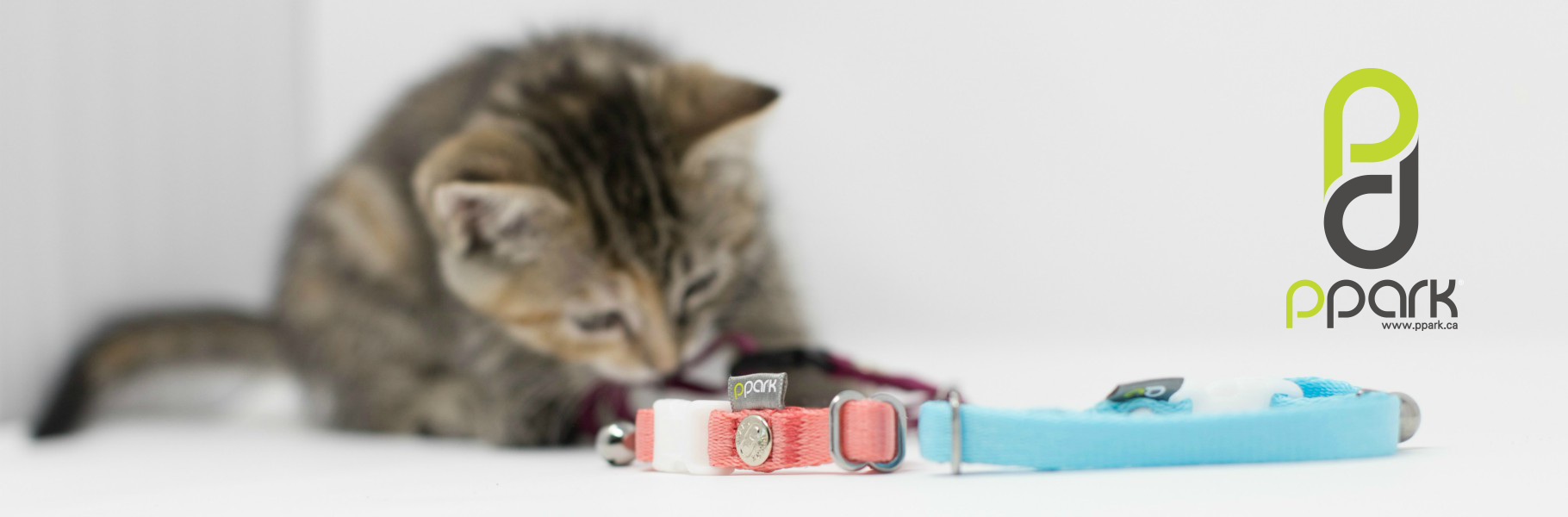 Cat Collar